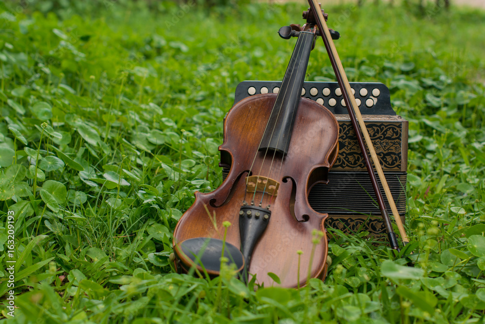 Fototapeta .Violin with accordion Put on the lawn Wait for the party tonight