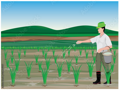 farmer manure rice plant vector design