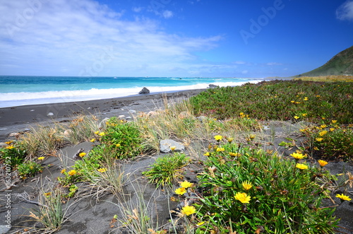 Wild coast in New Zealand photo