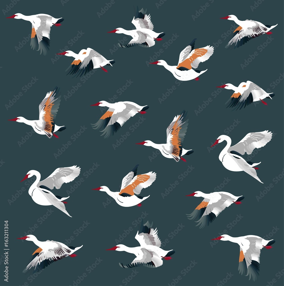 Fototapeta premium Seamless pattern with a group of swans . Vector texture for your creativity background. Vector texture for your creativity