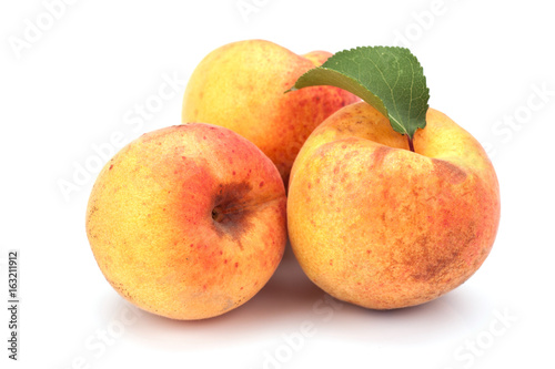 Apricot