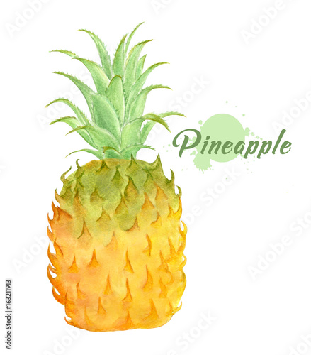 Watercolor fresh pineapple. Hand painted modern decorative fruit. single juicy pineapple isolated on white background. tropical fruit. Summer food illustration