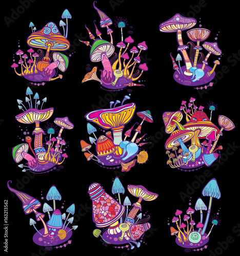 Groups of decorative mushrooms 