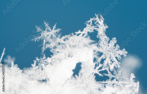 natural snowflakes on snow