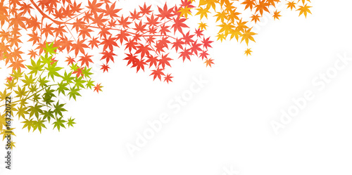 紅葉　秋　和紙　背景