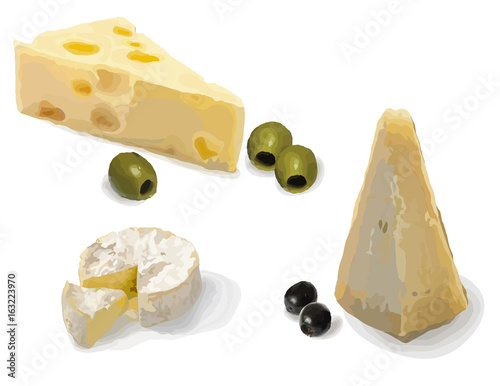 Camembert, Parmesan and Dutch cheese. Still life. Vector illustration.
