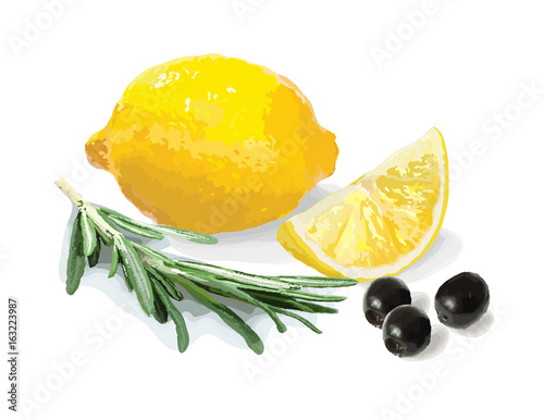 Lemon, olives and rosemary. Still life. Vector illustration.