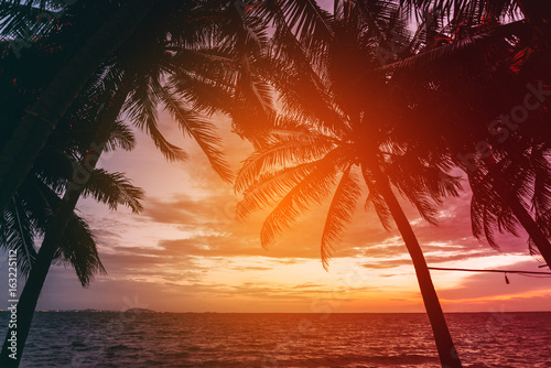 Silhouette of coconut palm tree with sunset sky background at the beach,vintage tone