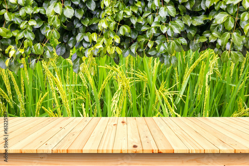 wood table top on rice field background.