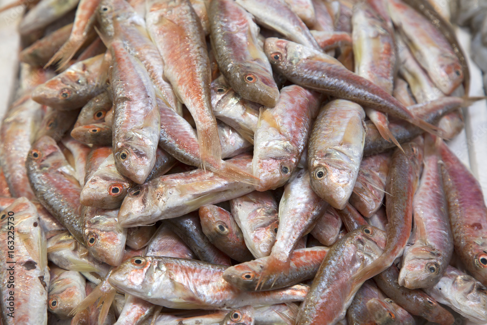 Fish for Sale on Market Stall, Bologna Fish for Sale on Market Stall, Bologna