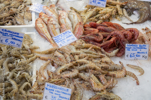 Variety of Fish and Seafood at Market Stall, Bologna