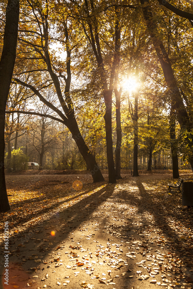Fototapeta premium Tiergarten in Berlin