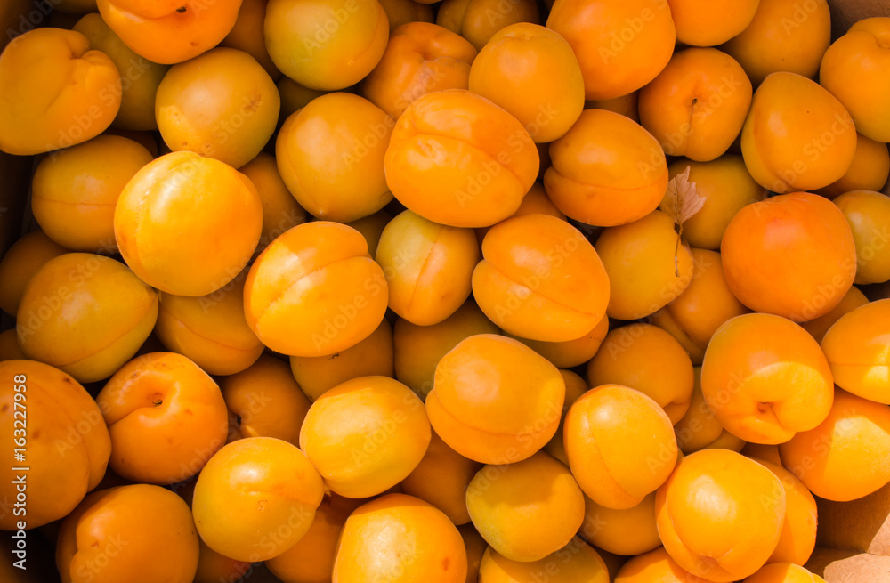 Background of apricots
