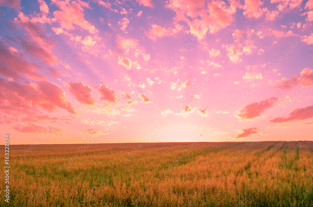 Beautiful sunset over summer fields