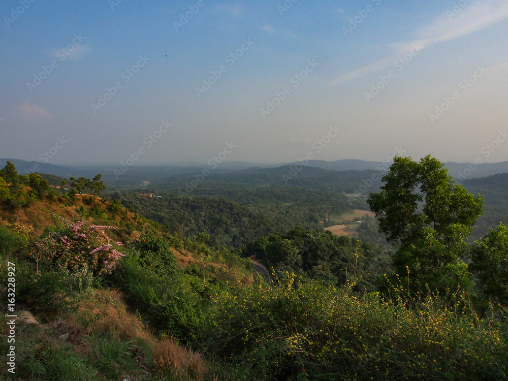 Munnar Landscape