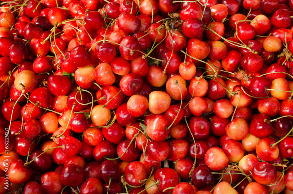 Background of cherries