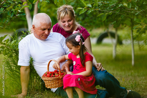 Happy family eating strawberries in the garden photo