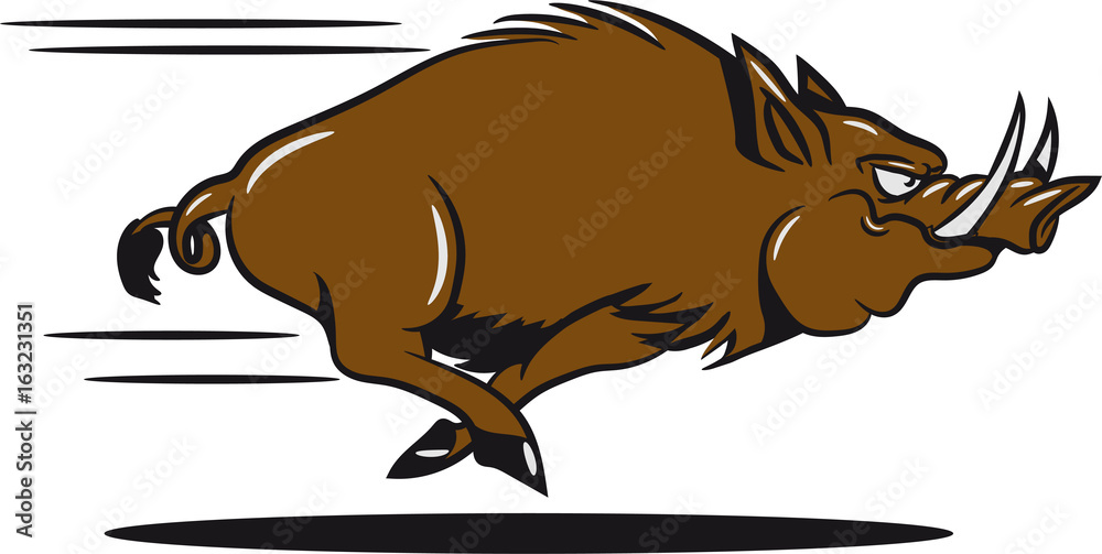 wildschwein witzig rennen Stock Illustration | Adobe Stock