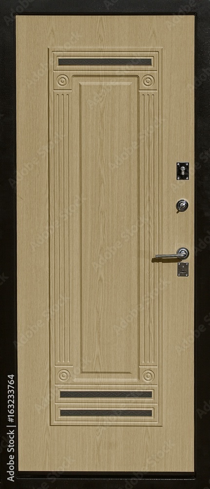 Fototapeta premium Entrance door (metal door)