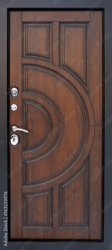 Fototapeta premium Entrance door (metal door)