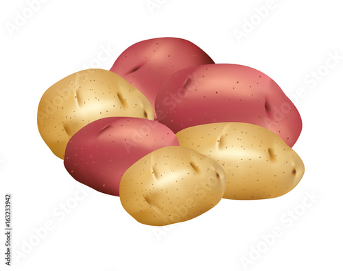 Mixed potatoes isolated