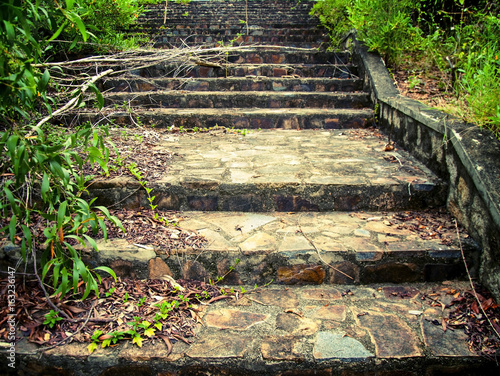 A picturesque staircase  in the jungle of Vietnam.