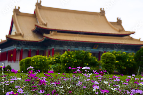 Photography Close up at flower in front royal palace