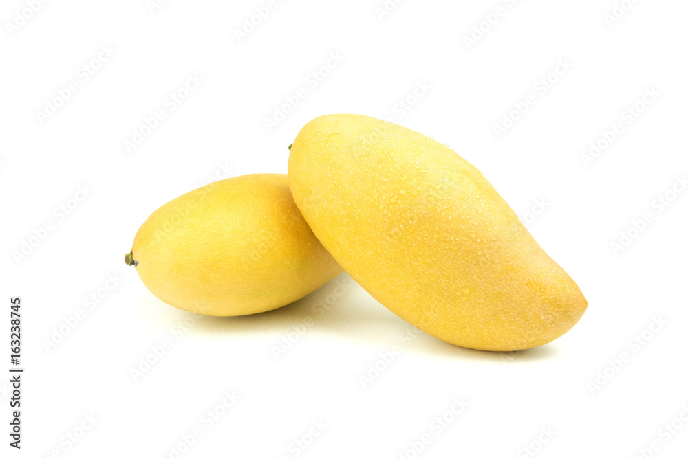 Yellow Mango thailand fruit favorite isolated on a white background.