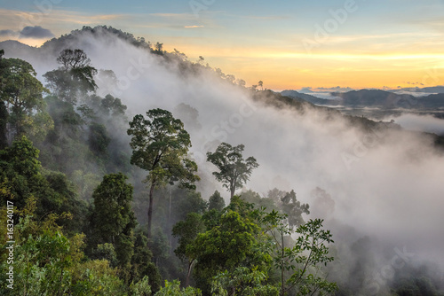 Fototapeta Naklejka Na Ścianę i Meble -  misty morning sunrise in mountain at Phang Nga,Thailand.