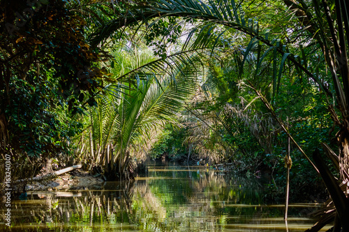 Small canal in Mekong Delta.