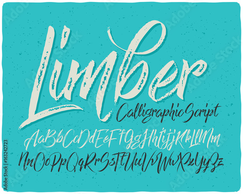 Hand drawn calligraphic font made with dry brush textured effect