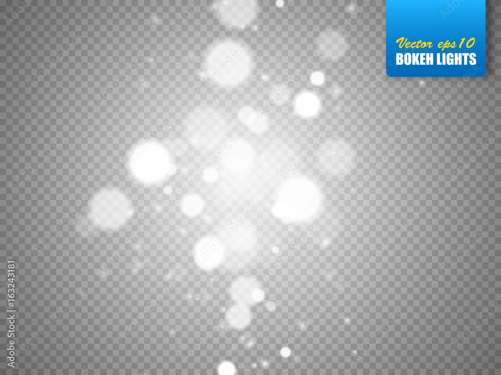 Bokeh effect isolated on transparent background. Vector Bokeh effect isolated on transparent background. Vector
