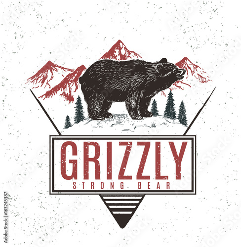 Old retro logo with bear grizzly