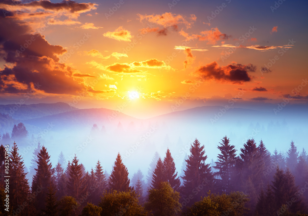 Location place Carpathian national park, Ukraine, Europe. Location place Carpathian national park, Ukraine, Europe.