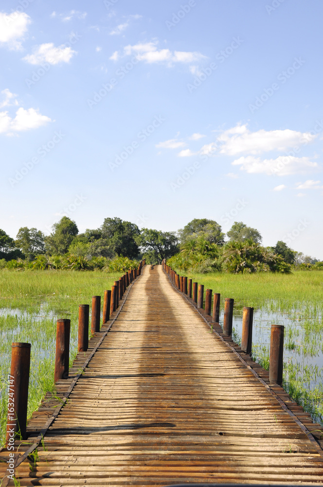 Pirschfahrt in den überfluteten Okavango-Delta-Sümpfen. Game Drive in the flooded Okavango-Delta-swamps