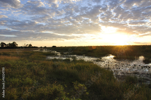 Botswana: Aussicht vom Duma Tau Wilderness Camp auf die Okavango Delta Sümpfe