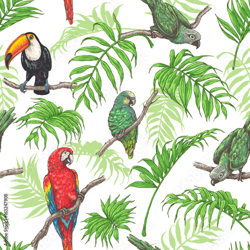 Parrots,  Toucan and Palm Leaves Pattern