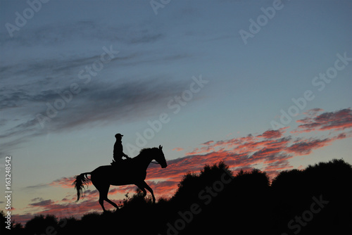 Silhouette of a rider on a horse on a red sunset background
