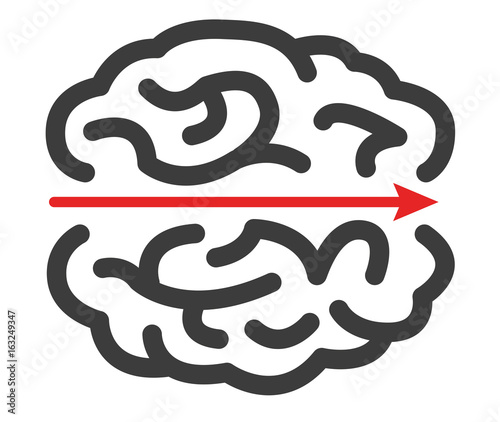 labyrinthe cerveau 3