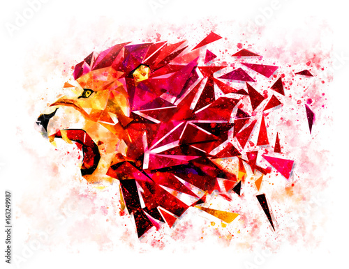 Fototapeta Naklejka Na Ścianę i Meble -  Low polygon lion geometric pattern explode. water color filter. LION ANGRY