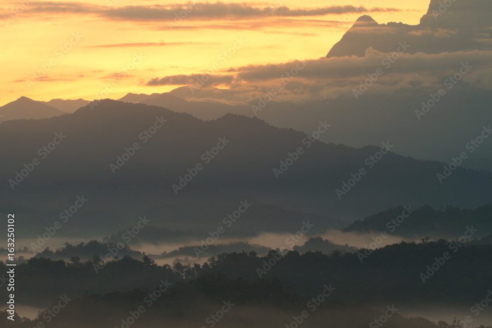 Fototapeta premium Forest Landscape at foggy sunrise somewhere in Borneo, Asia
