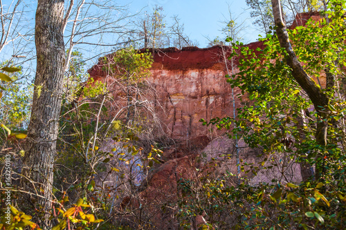 Red loamy wall of Providence Canyon seen behind trees from the canyon floor in sunny autumn day, USA