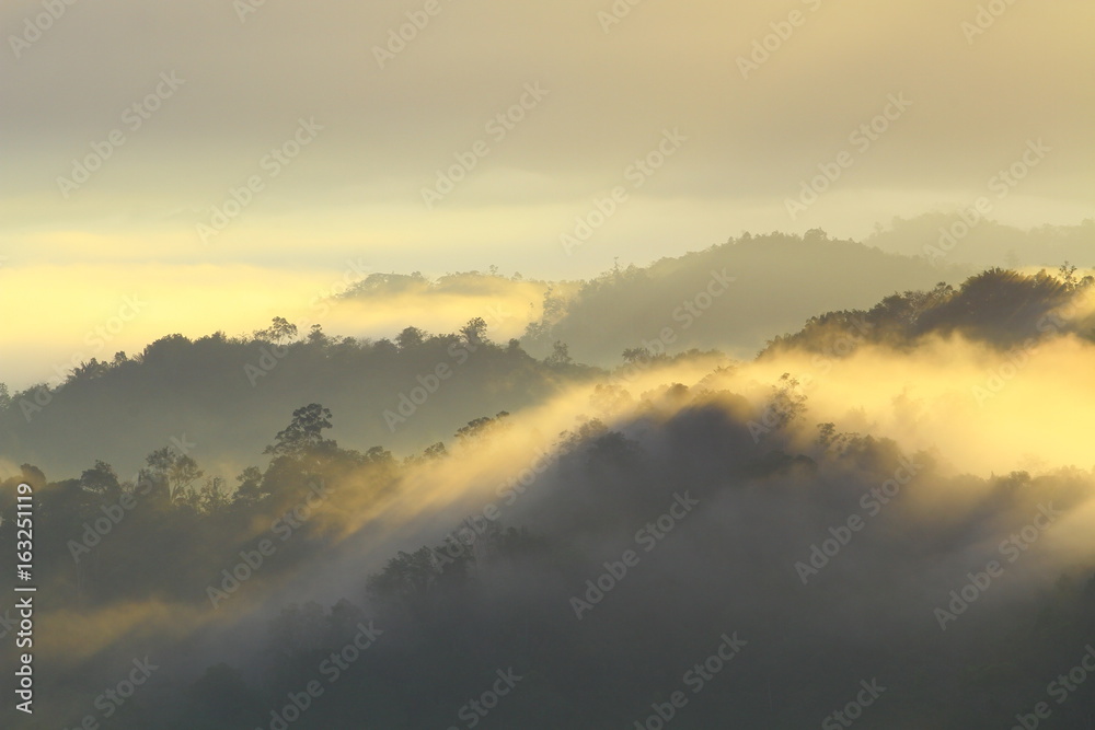 The amazing scenery of forest landscape during foggy sunrise somewhere in Sabah, North Borneo, Asia. 
