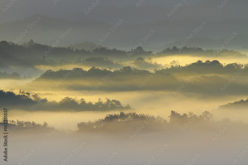 The amazing scenery of forest landscape during foggy sunrise somewhere in Sabah, North Borneo, Asia. The amazing scenery of forest landscape during foggy sunrise somewhere in Sabah, North Borneo, Asia.