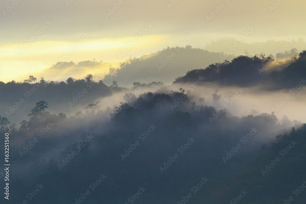 The amazing scenery of forest landscape during foggy sunrise somewhere in Sabah, North Borneo, Asia. 