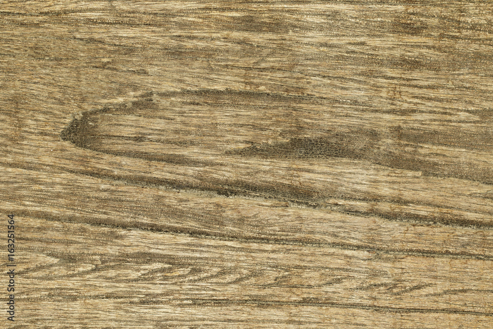 Fototapeta premium Image of wood texture. Wooden background pattern.