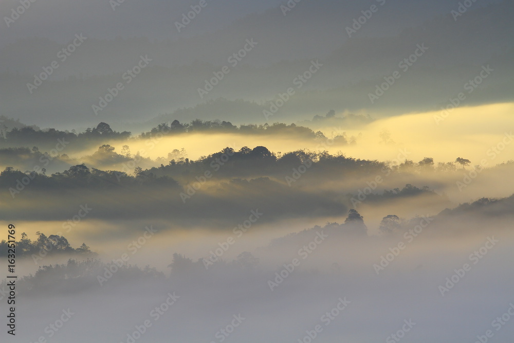 Beautiful misty morning scenry somewhere in Sabah, North Borneo, Asia