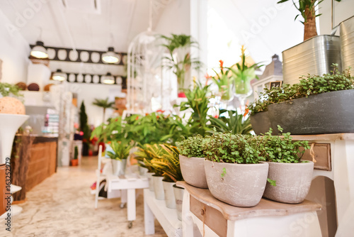 An Image of A Flower Shop With Green Plants © bodiaphoto