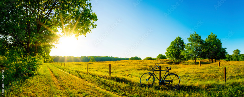 Poster Landschaft Im Sommer Mit B umen Und Wiesen Bei Strahlendem 