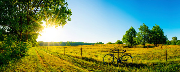 Landschaft im Sommer mit Bäumen und Wiesen bei strahlendem Sonnenschein